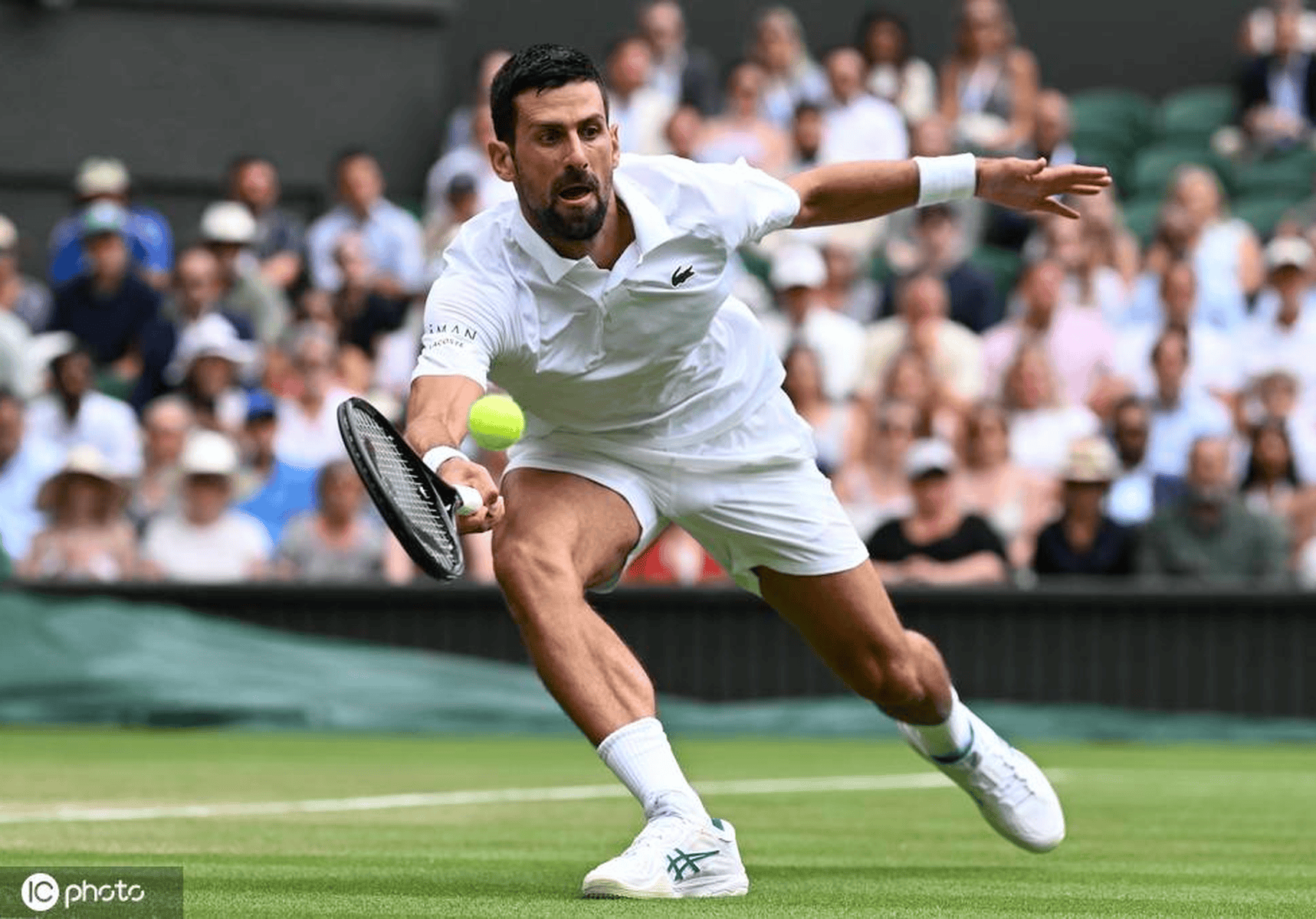 开云-关于德约科维奇关键节点战术调整，日本队带队取胜！的信息